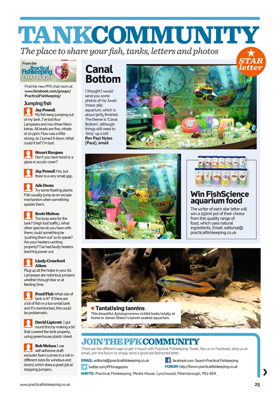 Practical Fishkeeping Preview Pages
