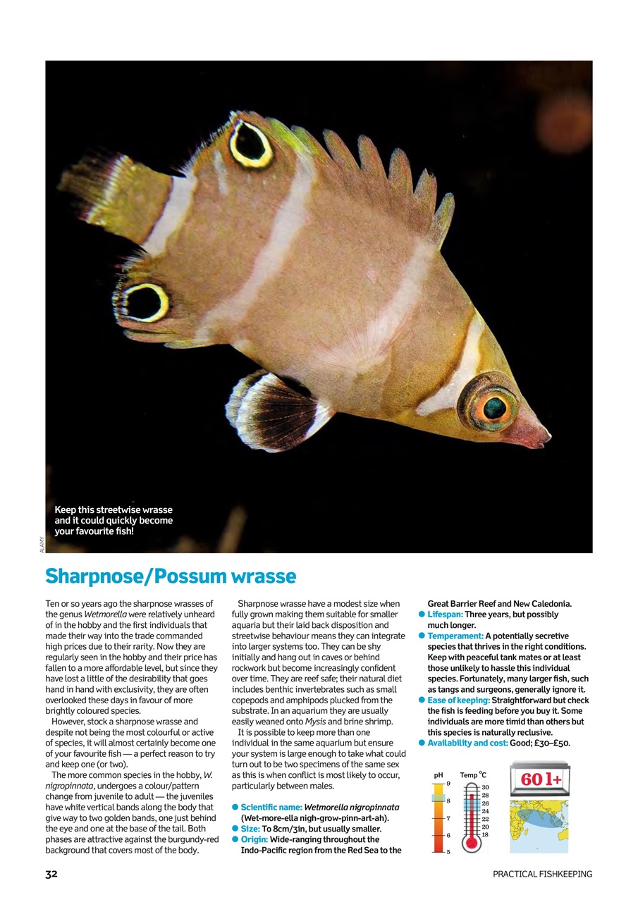 Practical Fishkeeping Preview Pages