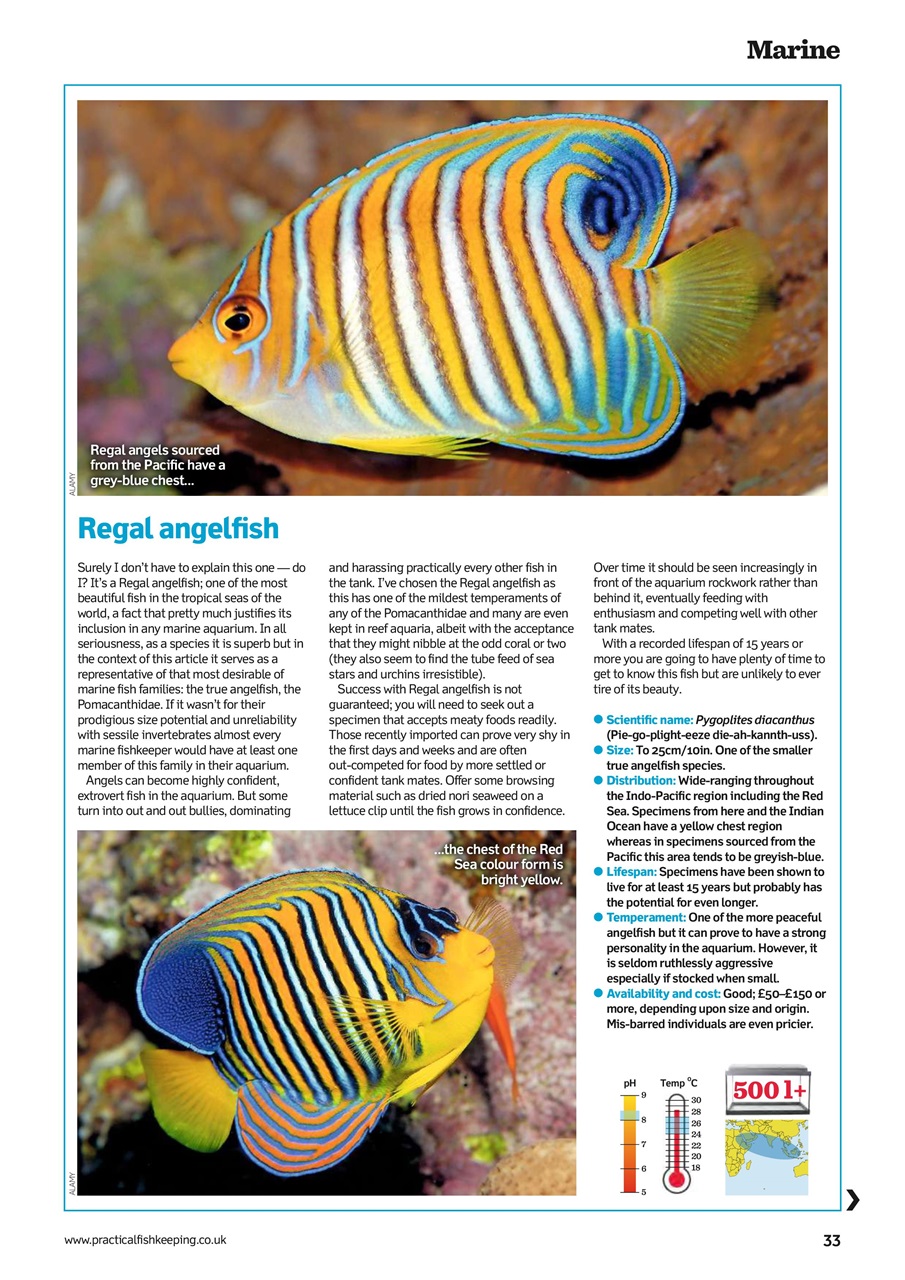 Practical Fishkeeping Preview Pages