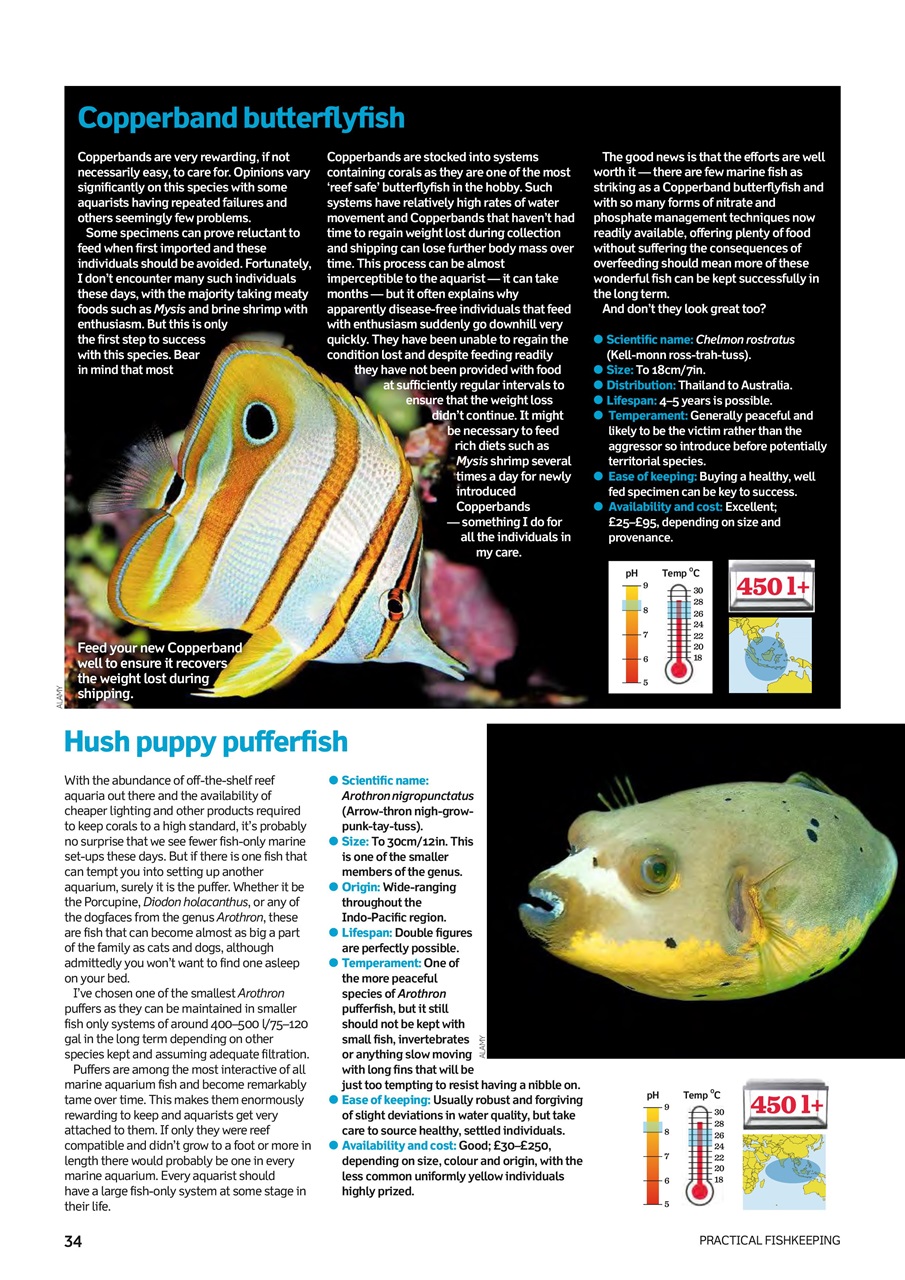 Practical Fishkeeping Preview Pages