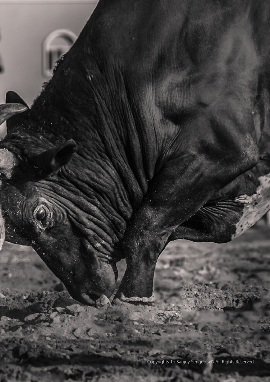 Lens Magazine Preview Pages