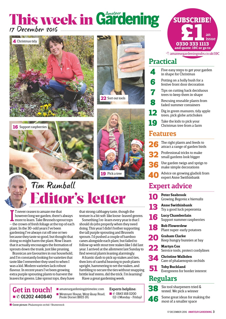Amateur Gardening Preview Pages