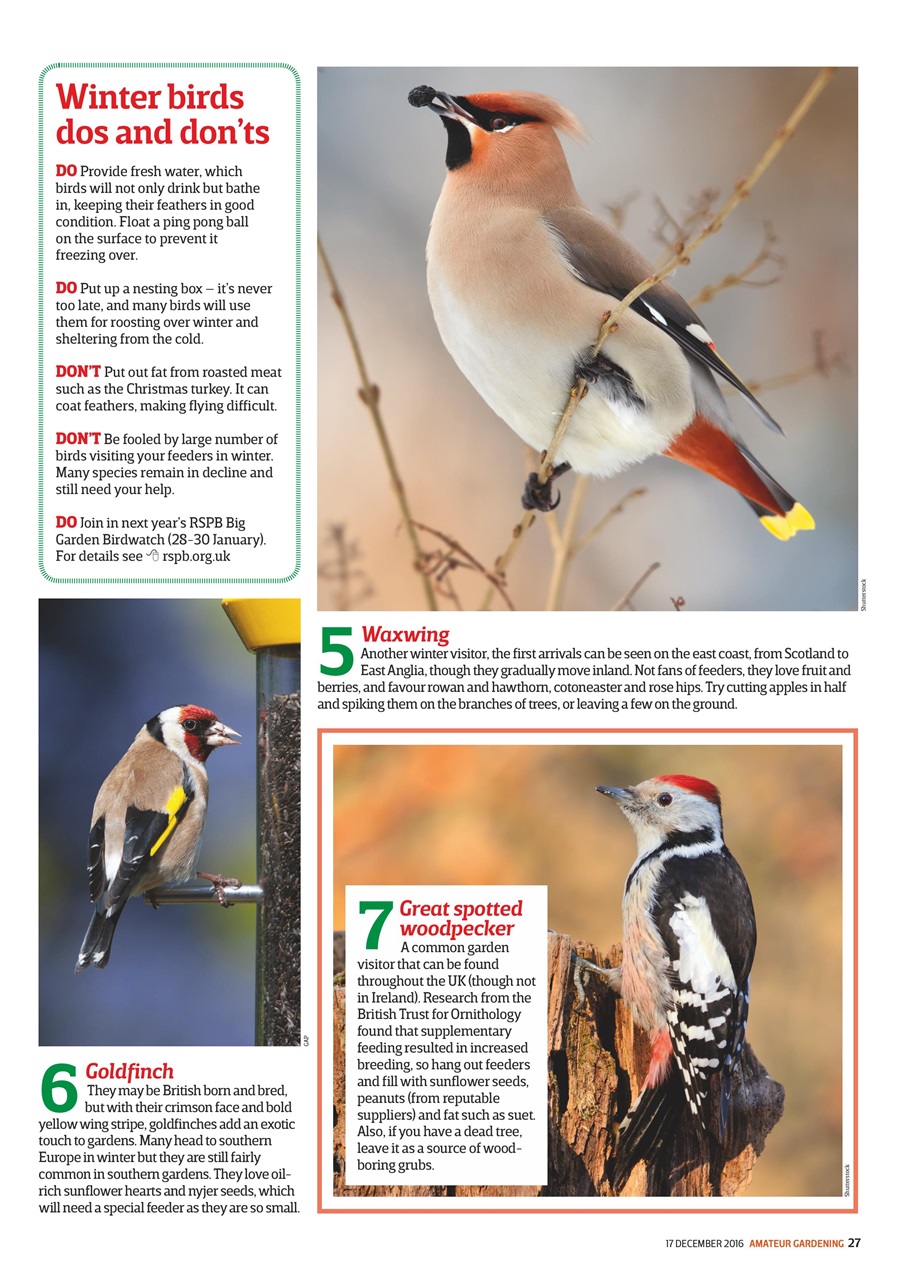 Amateur Gardening Preview Pages