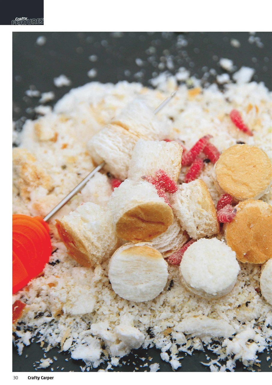 Crafty Carper Preview Pages