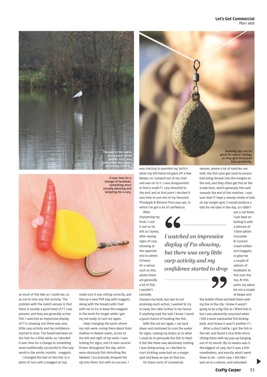 Crafty Carper Preview Pages