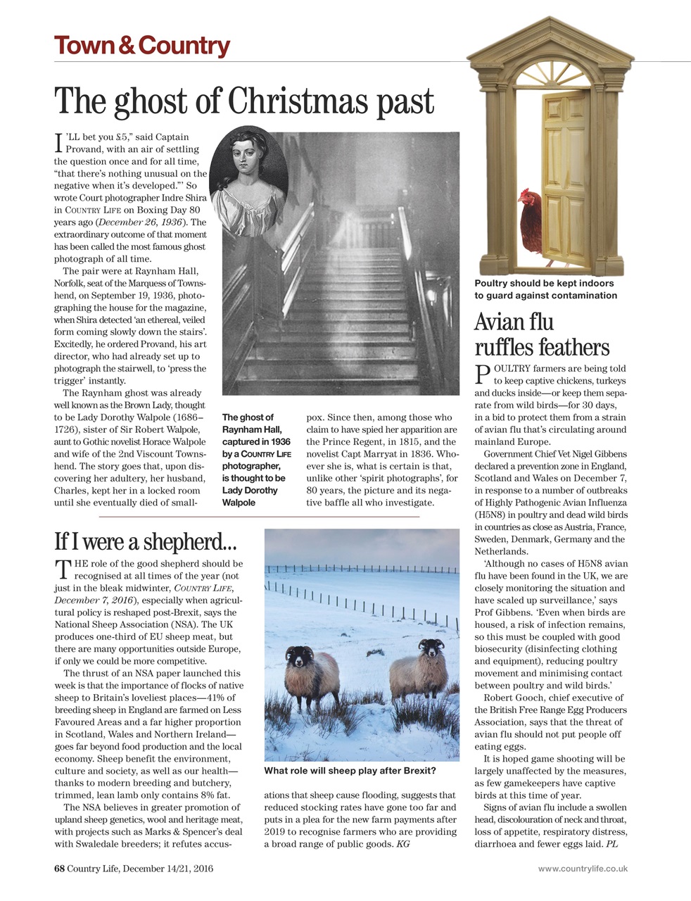 Country Life Preview Pages