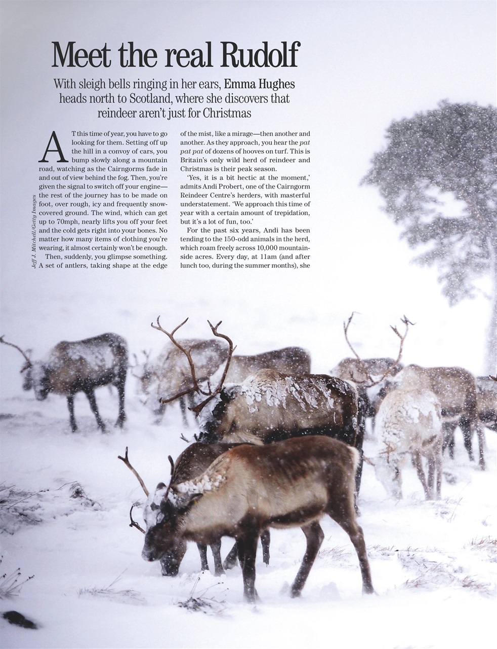 Country Life Preview Pages