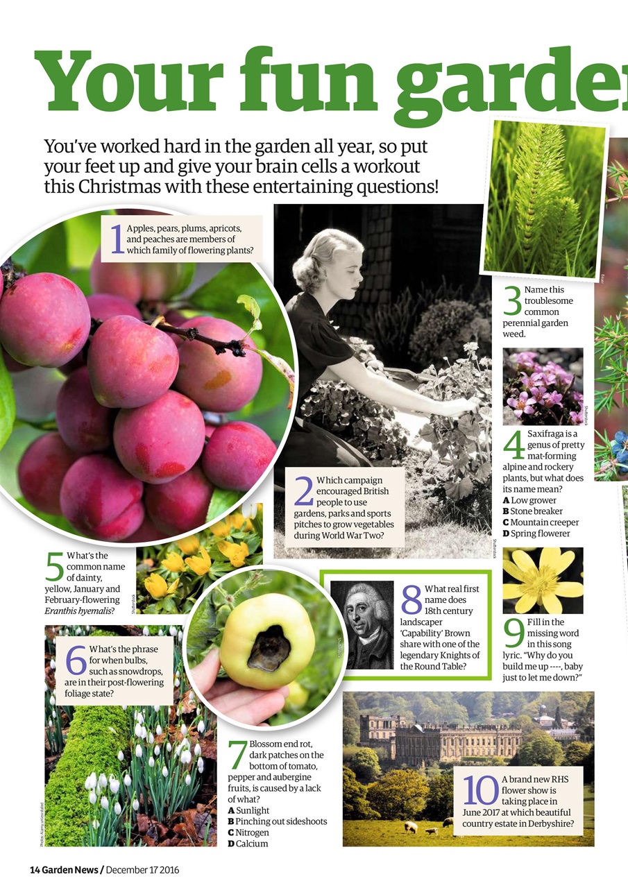 Garden News Preview Pages