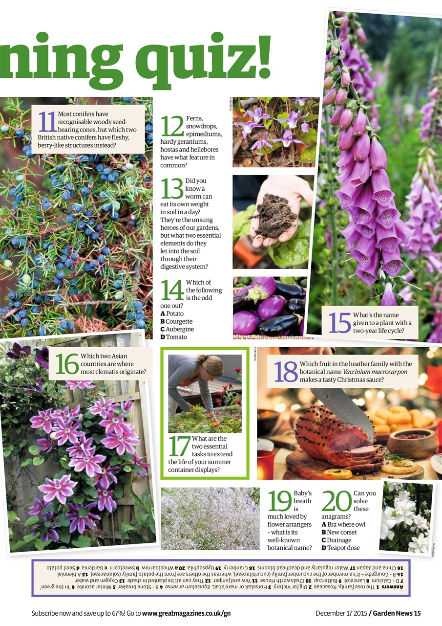 Garden News Preview Pages