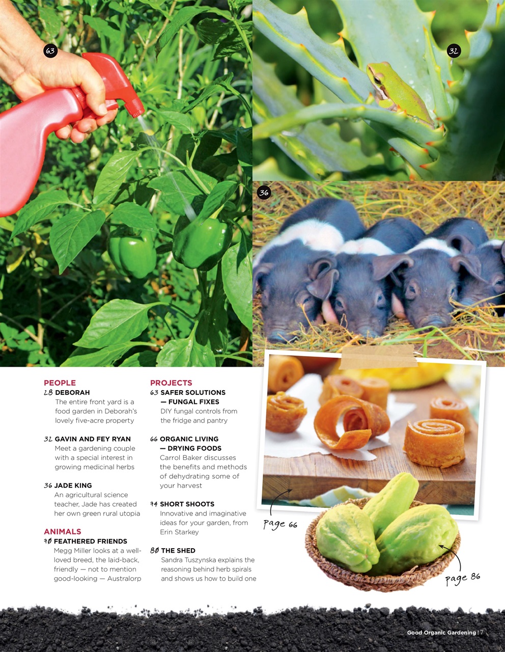 Good Organic Gardening Preview Pages