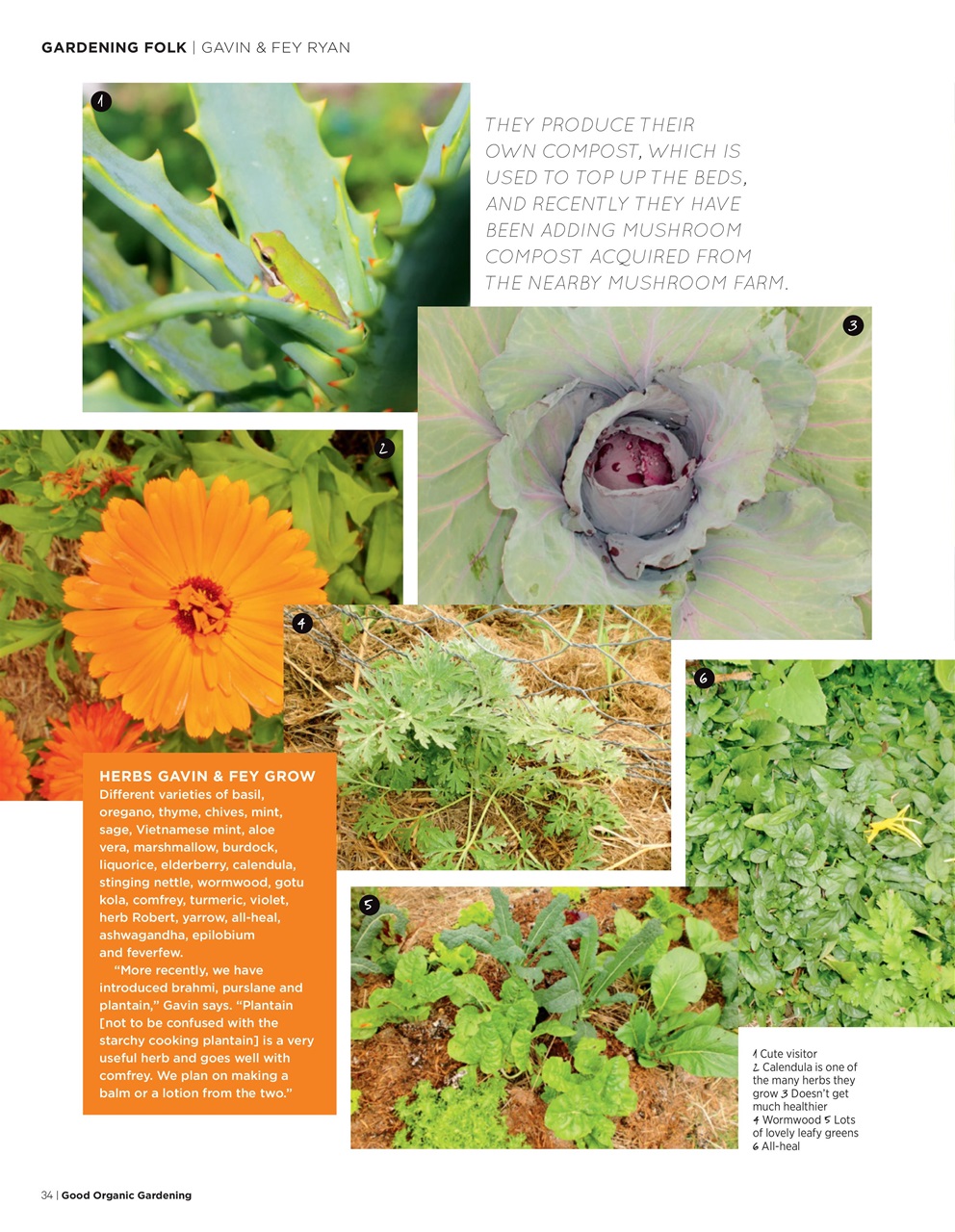 Good Organic Gardening Preview Pages