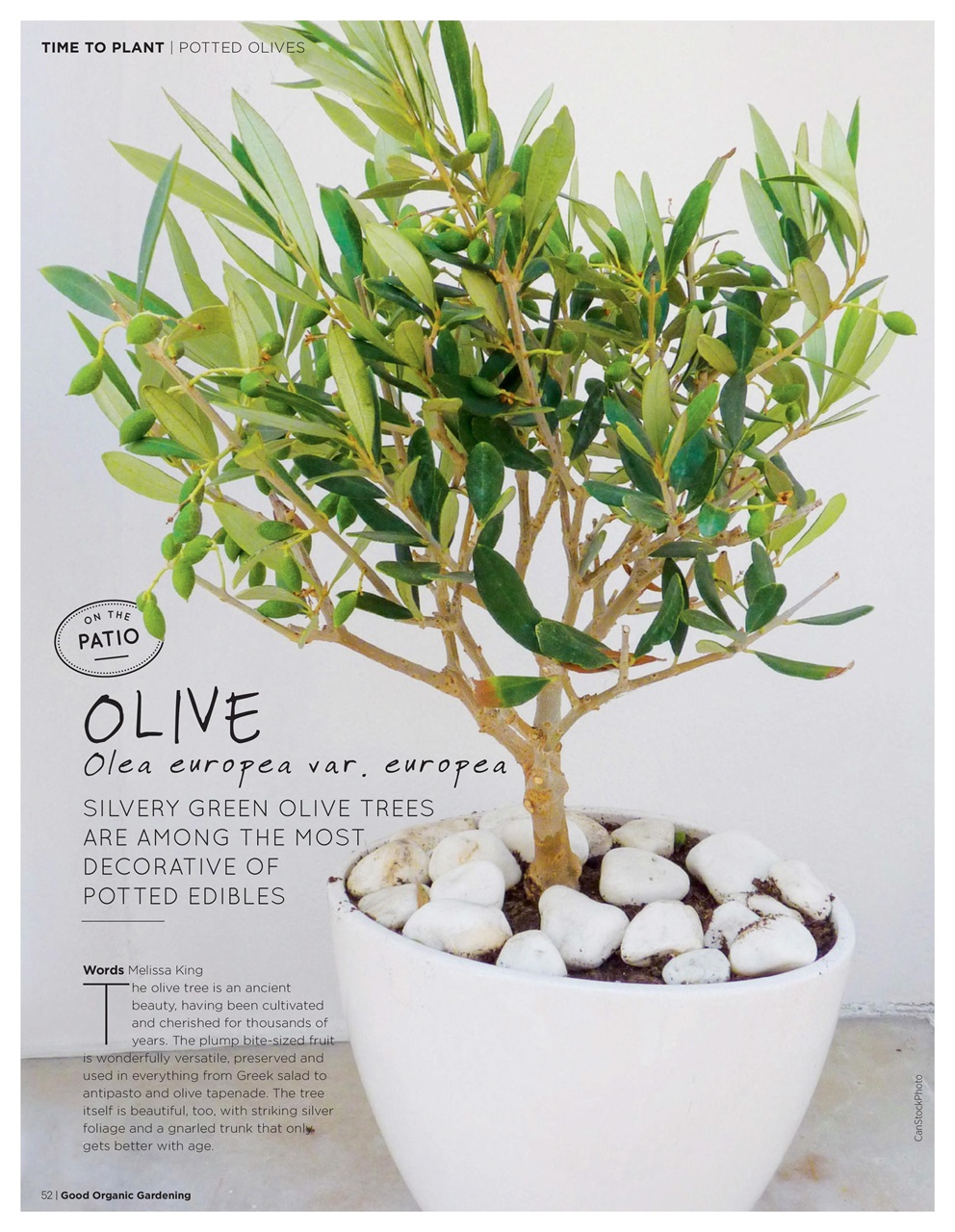 Good Organic Gardening Preview Pages