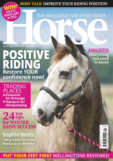 Horse issue 