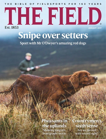 The Field issue January 2017