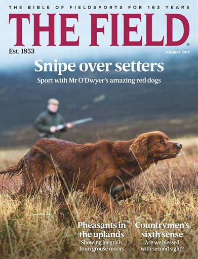 The Field issue 