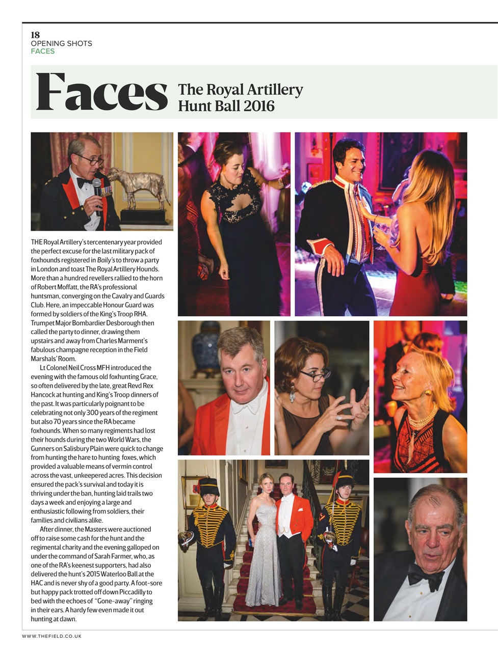 The Field Preview Pages