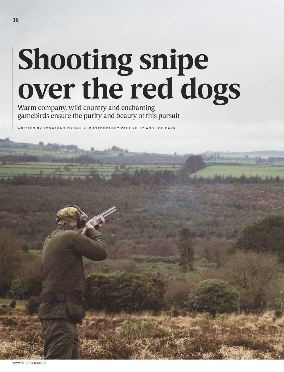 The Field Preview Pages