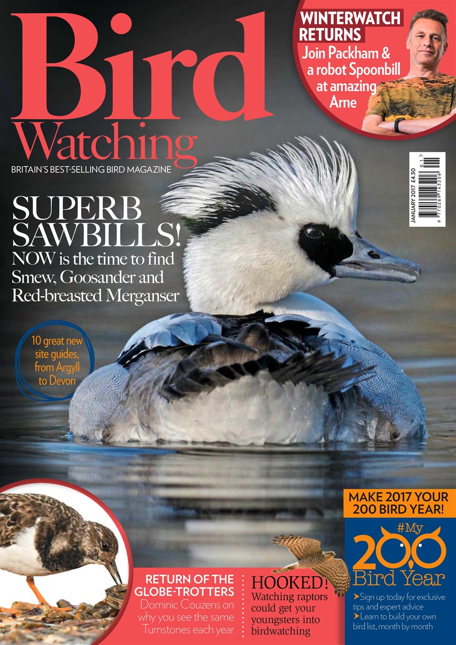 Bird Watching Preview Pages