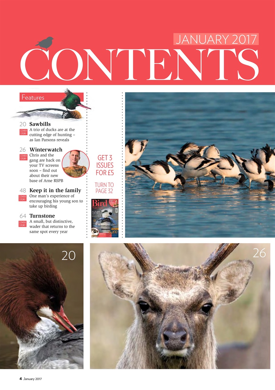 Bird Watching Preview Pages