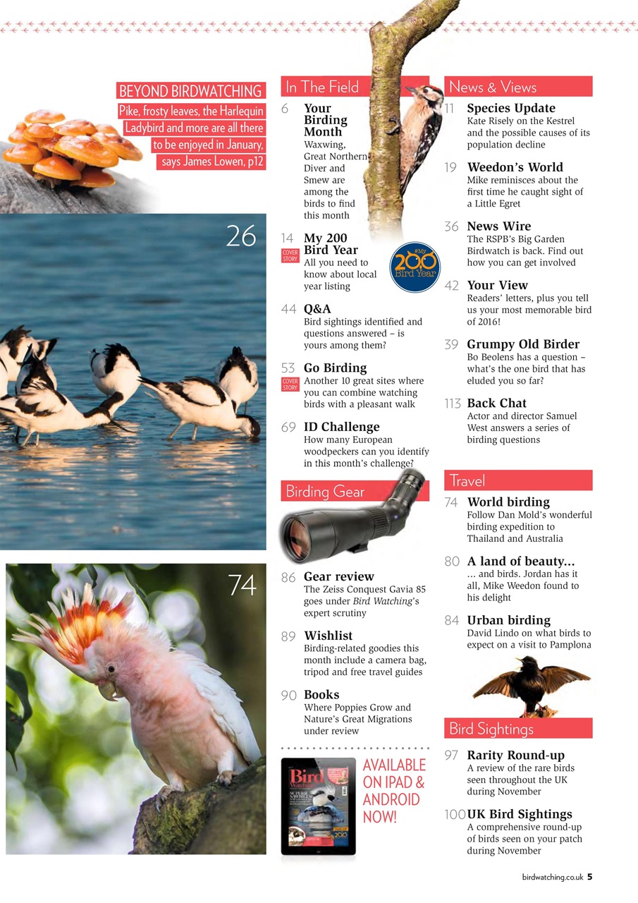 Bird Watching Preview Pages