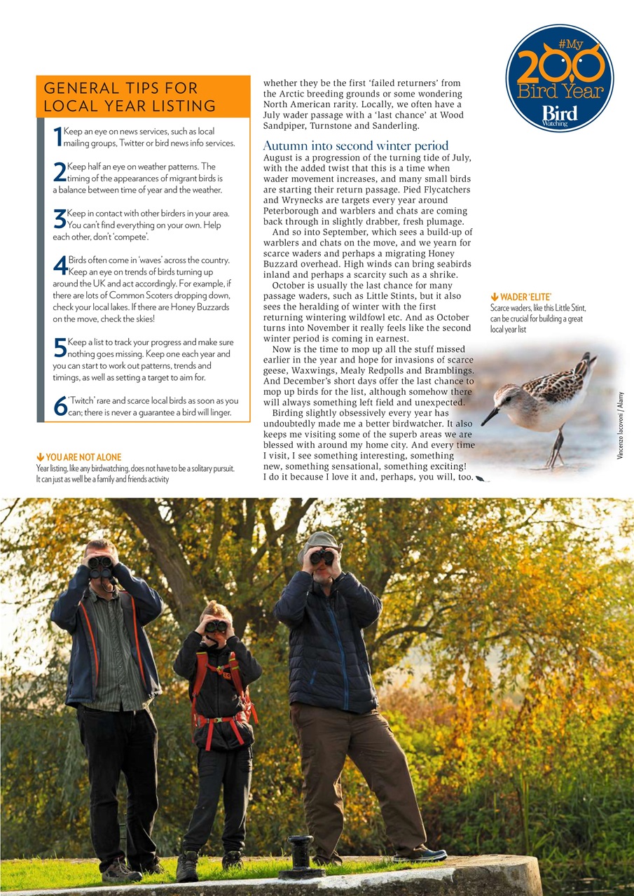 Bird Watching Preview Pages