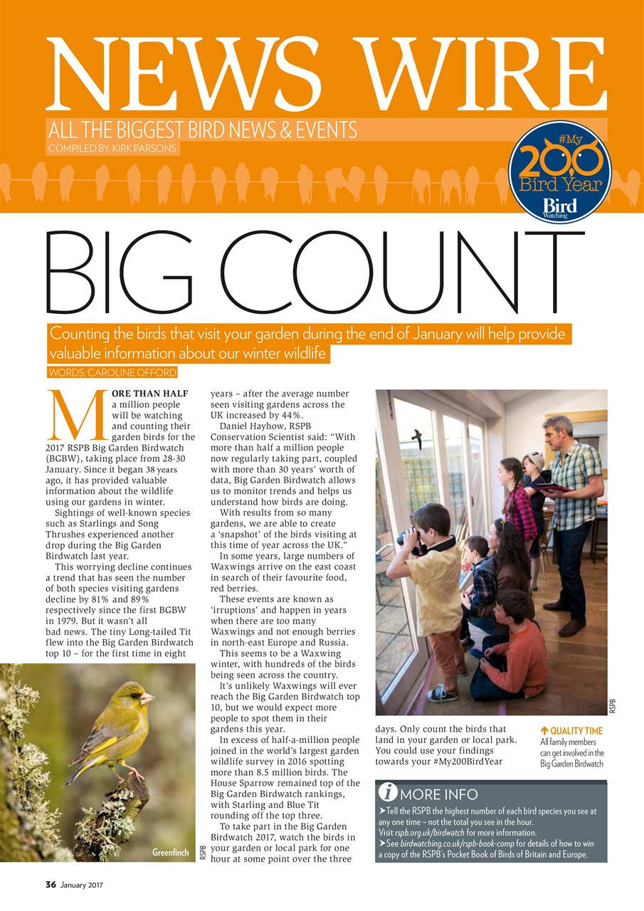 Bird Watching Preview Pages