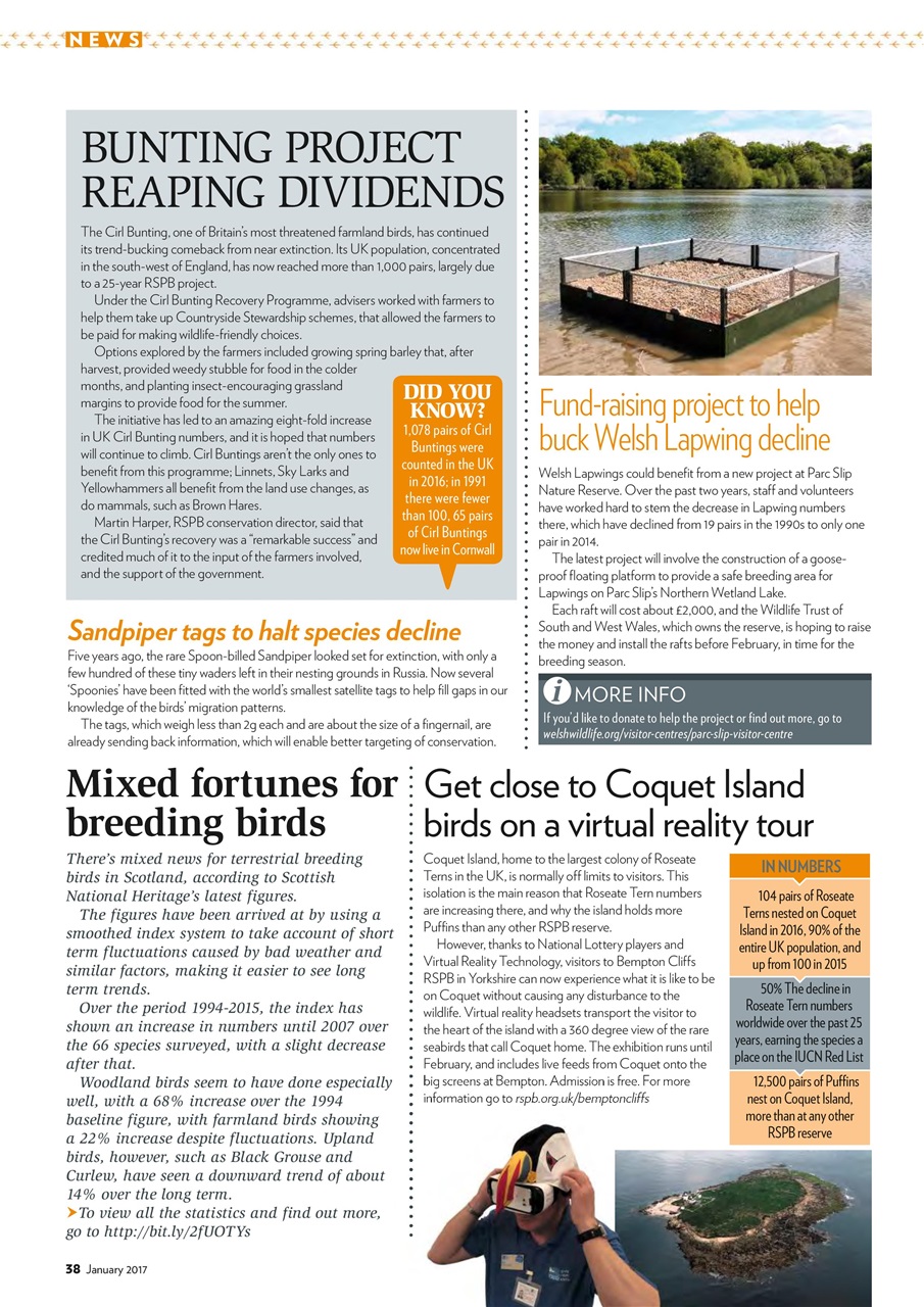 Bird Watching Preview Pages