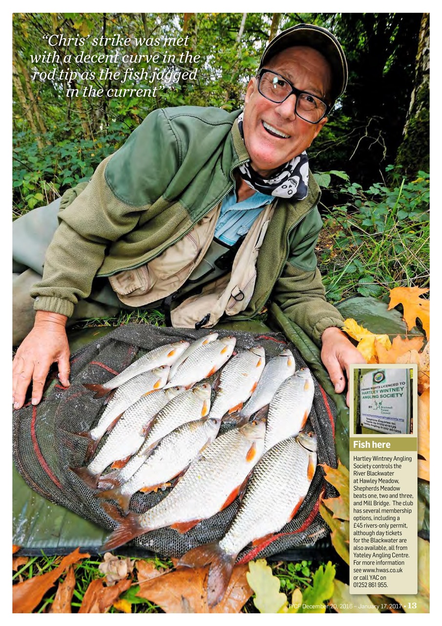 Improve Your Coarse Fishing Preview Pages