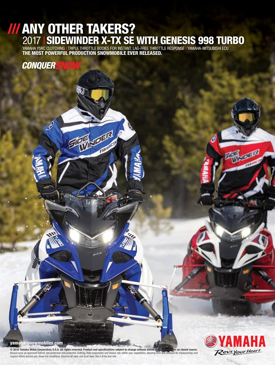 SnowGoer Preview Pages