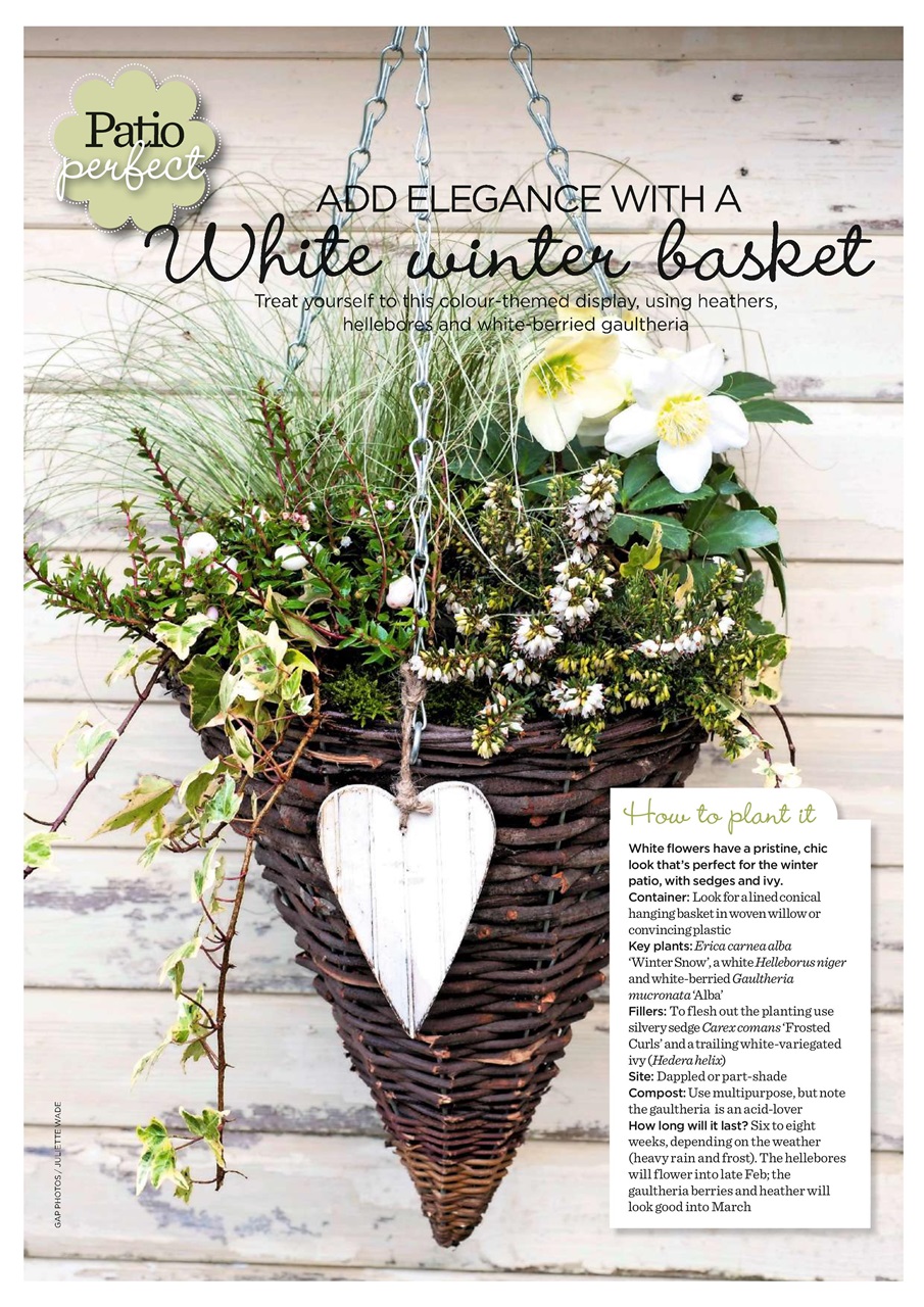 Garden Answers Preview Pages
