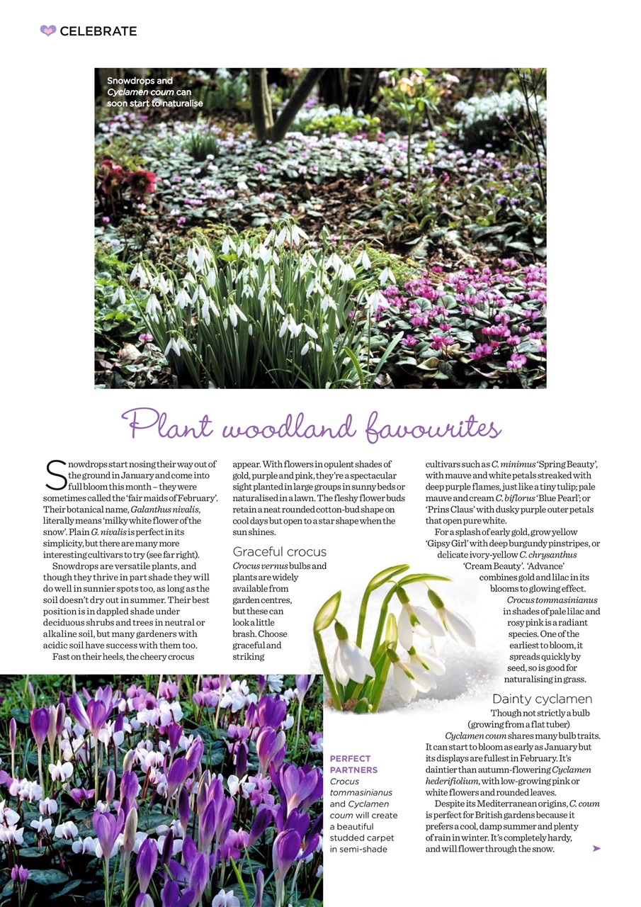Garden Answers Preview Pages