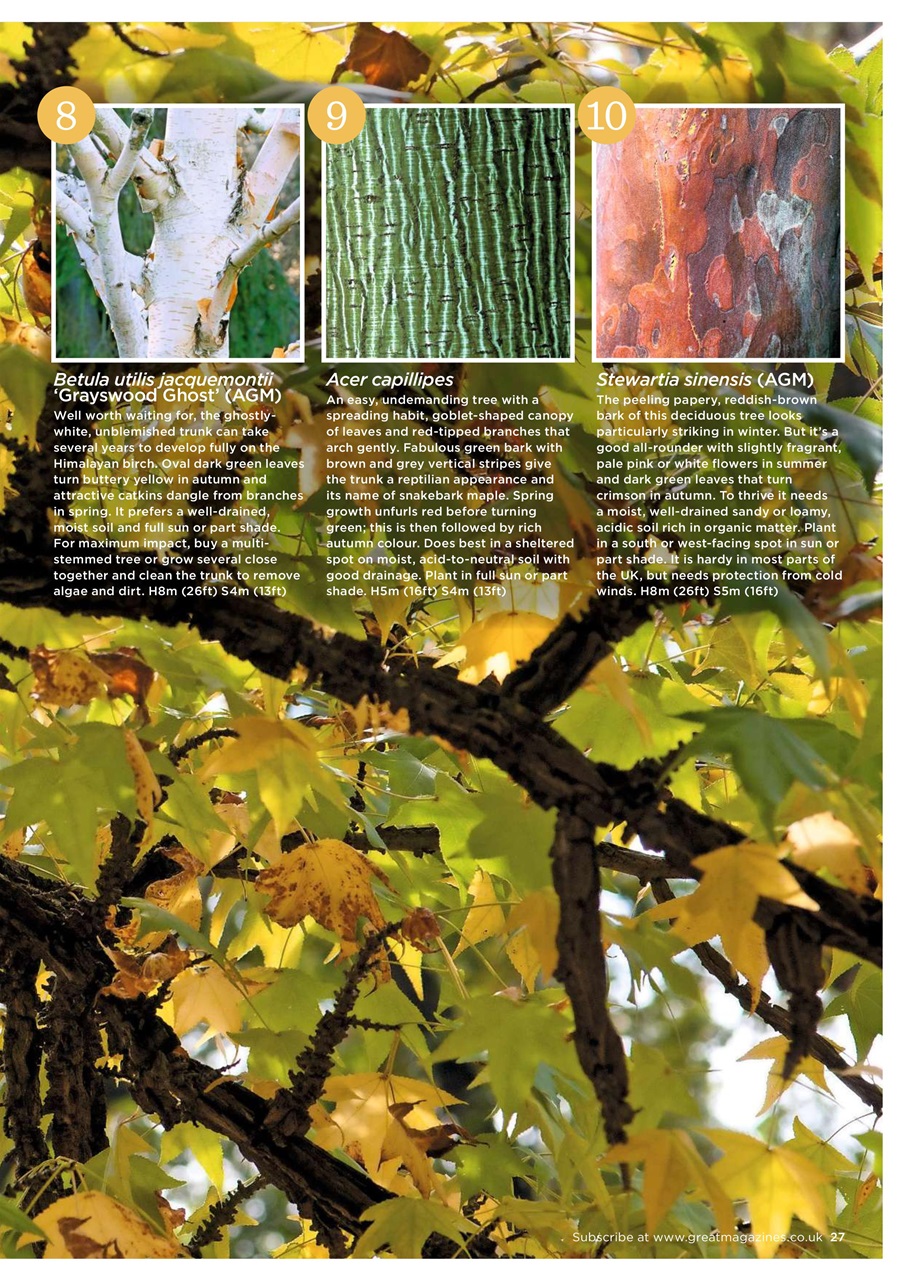 Garden Answers Preview Pages