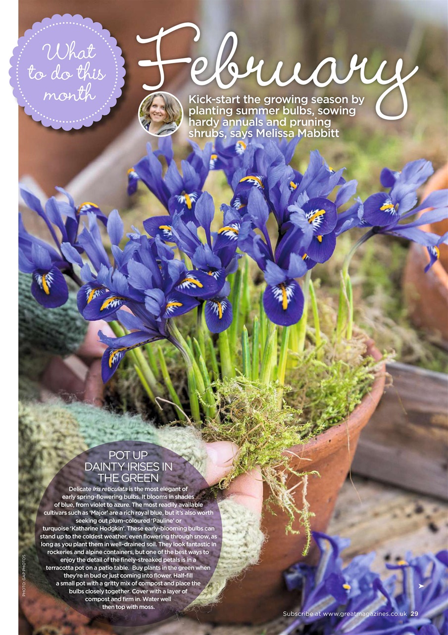 Garden Answers Preview Pages