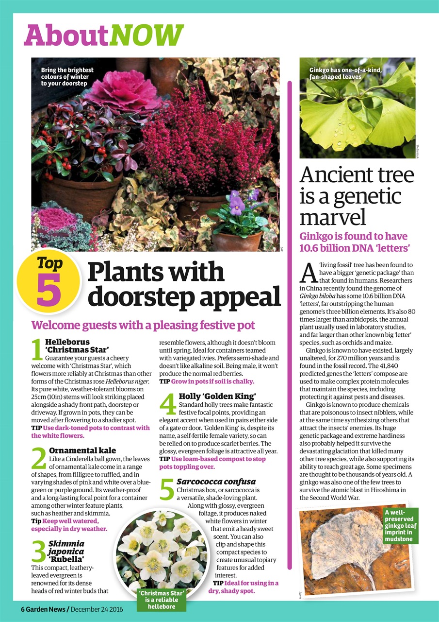 Garden News Preview Pages