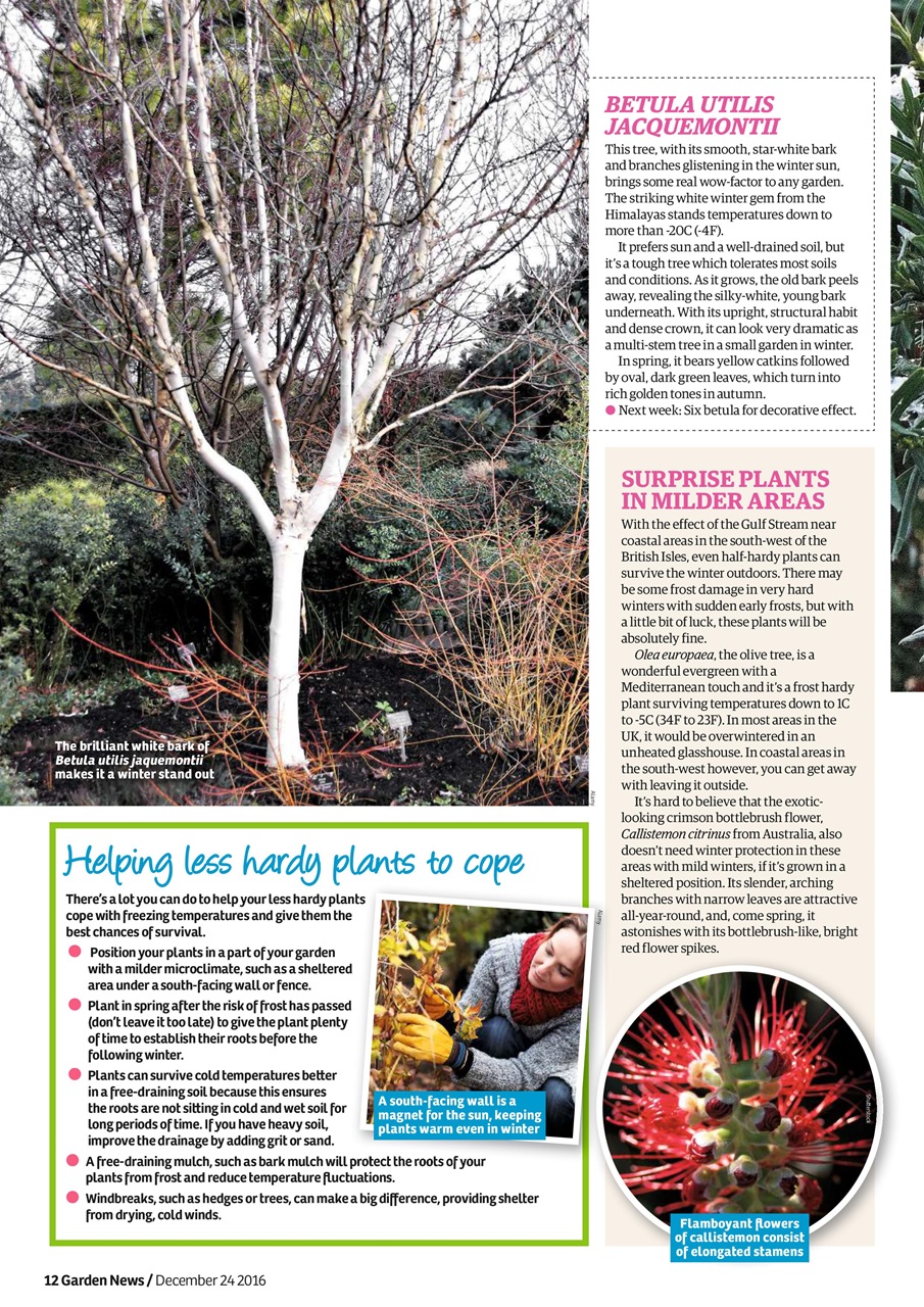 Garden News Preview Pages