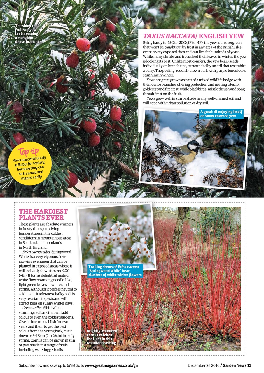 Garden News Preview Pages