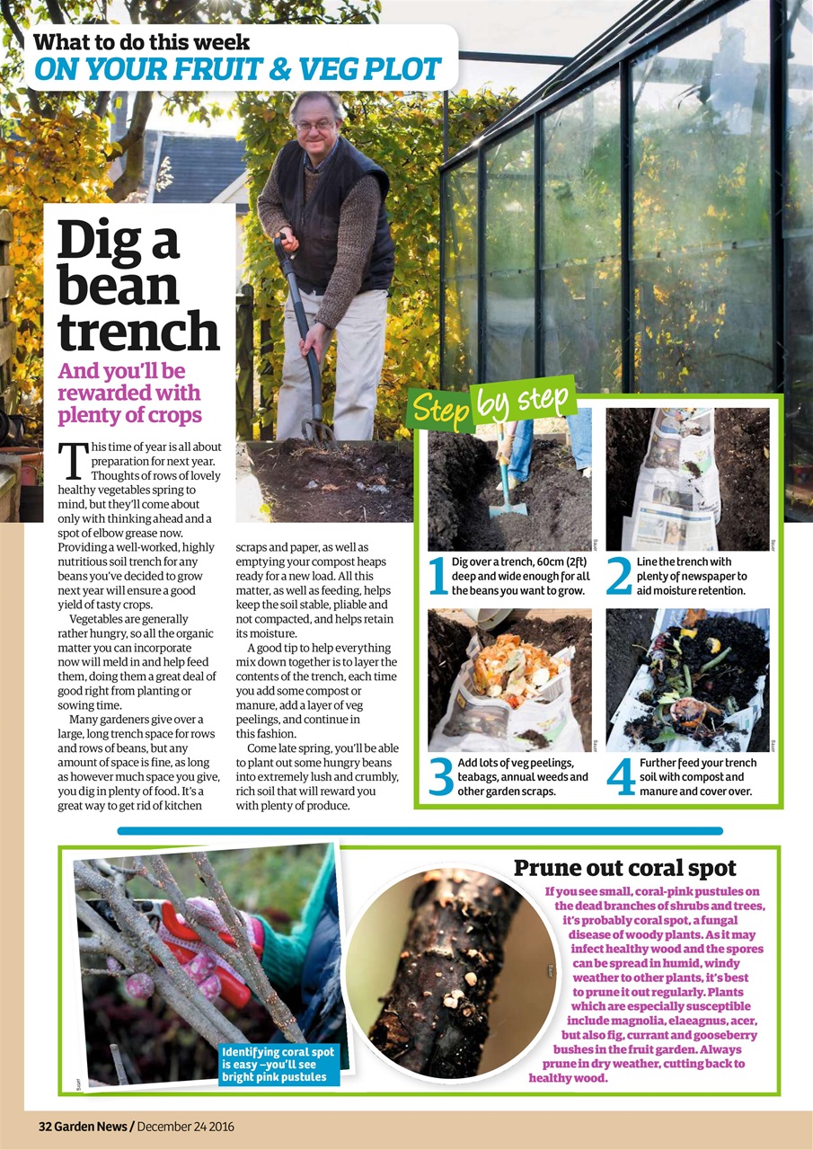 Garden News Preview Pages