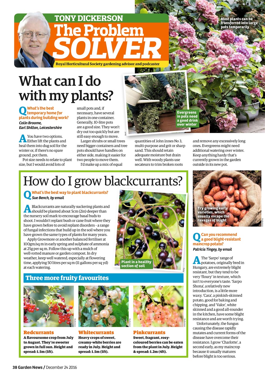 Garden News Preview Pages