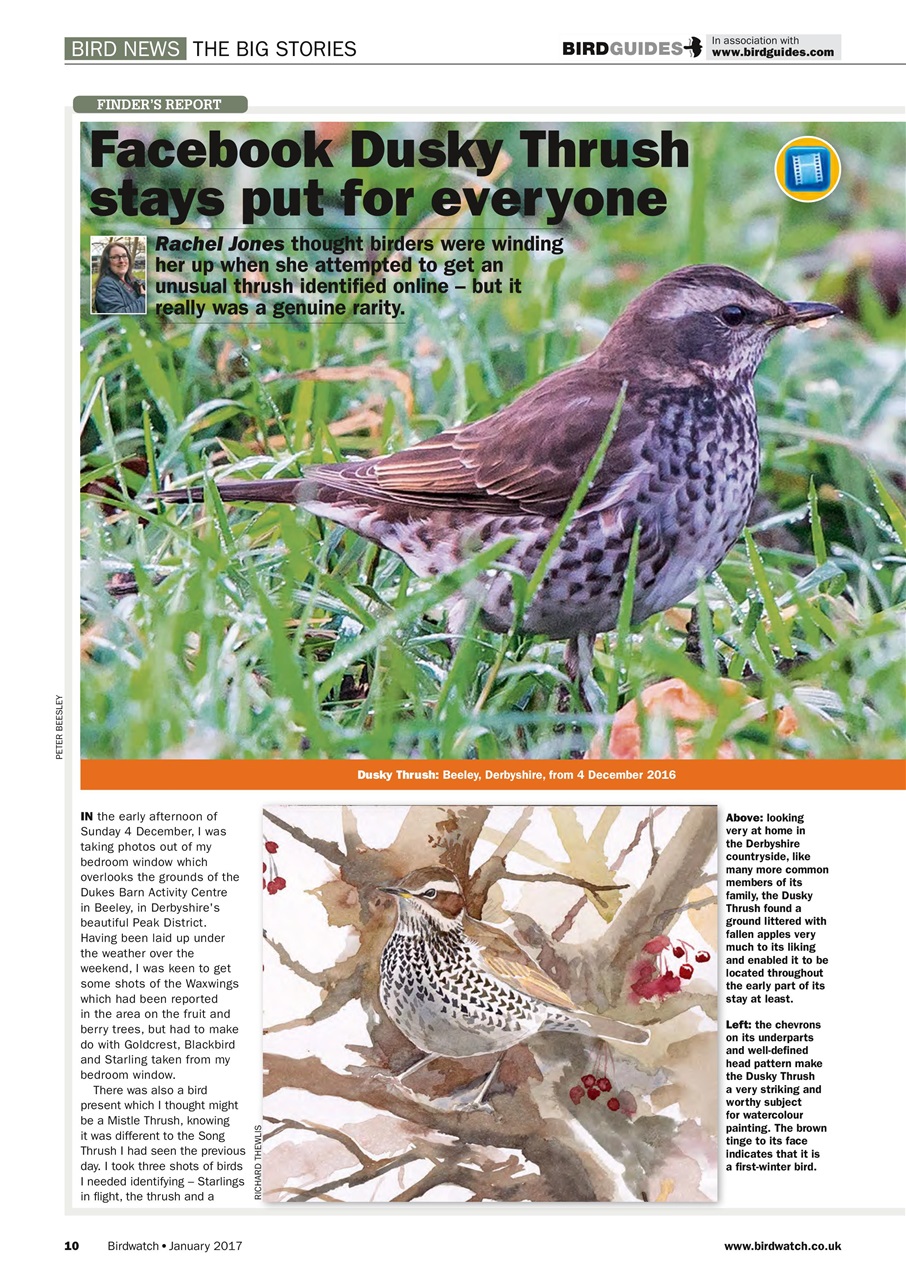 Birdwatch Magazine Preview Pages