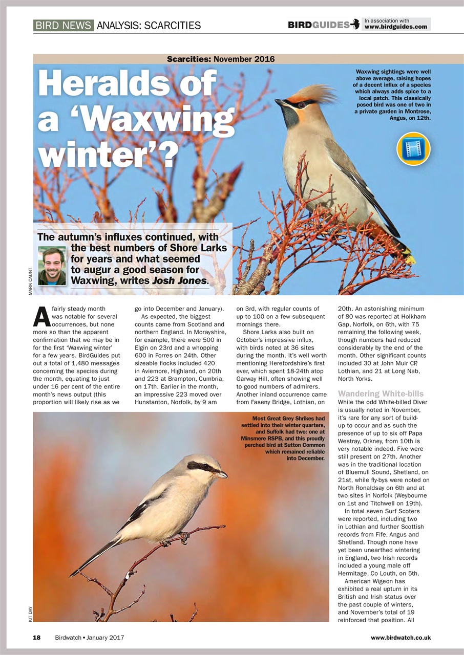 Birdwatch Magazine Preview Pages