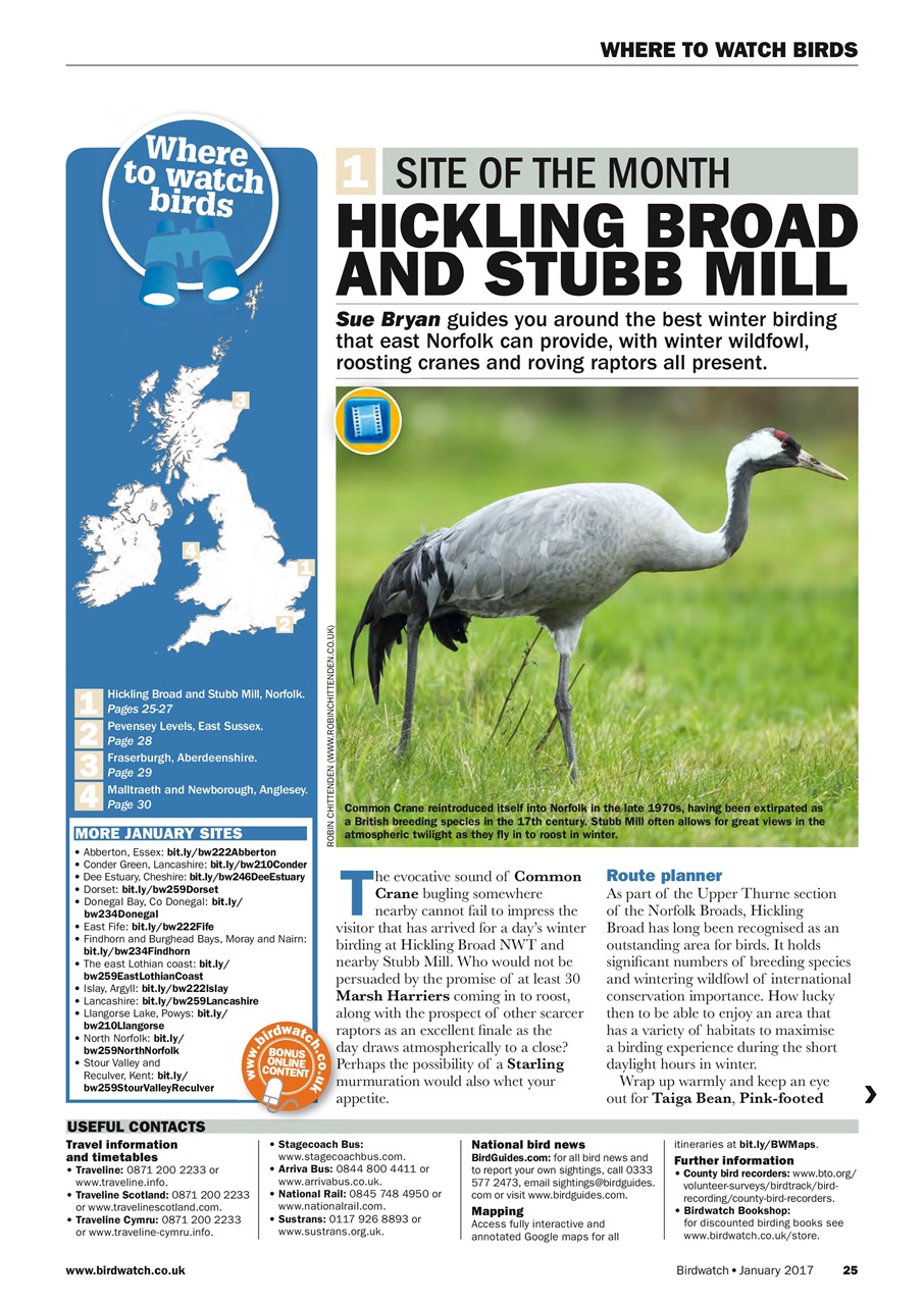 Birdwatch Magazine Preview Pages