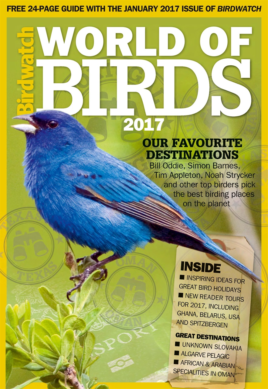 Birdwatch Magazine Preview Pages
