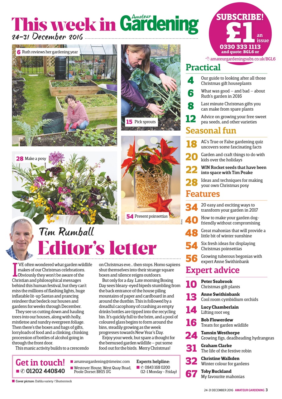 Amateur Gardening Preview Pages