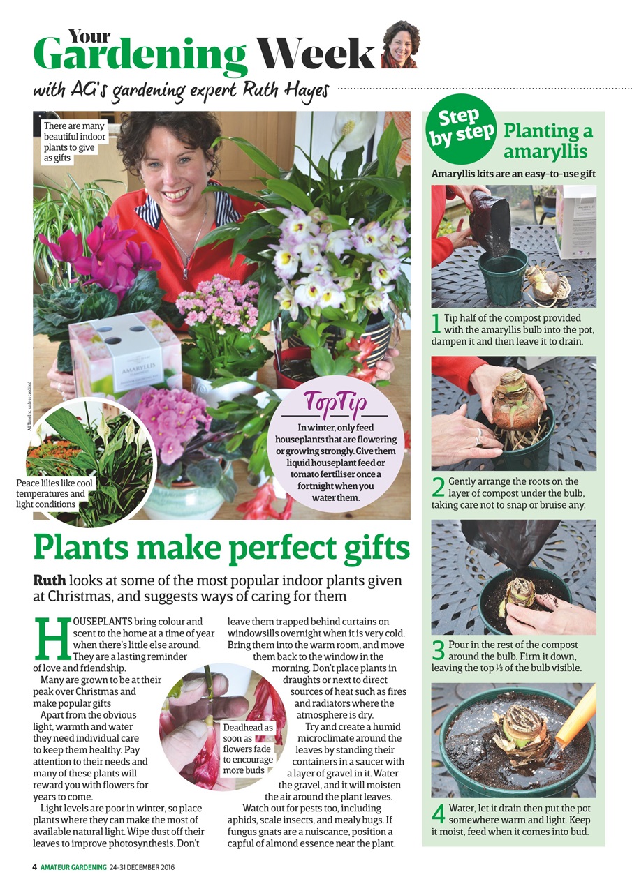 Amateur Gardening Preview Pages