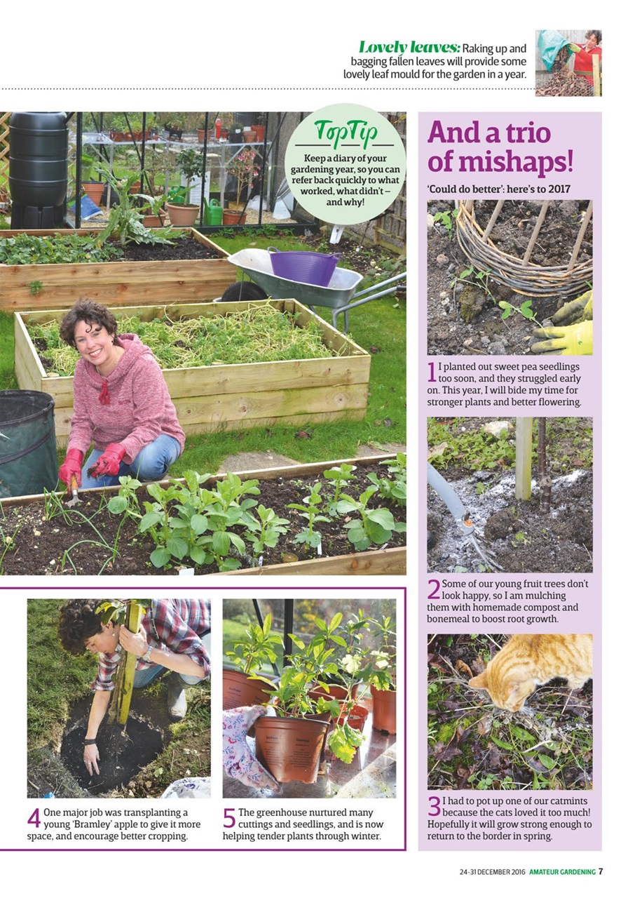 Amateur Gardening Preview Pages