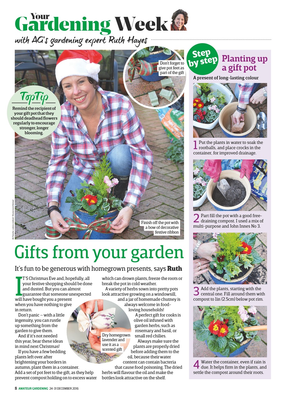 Amateur Gardening Preview Pages