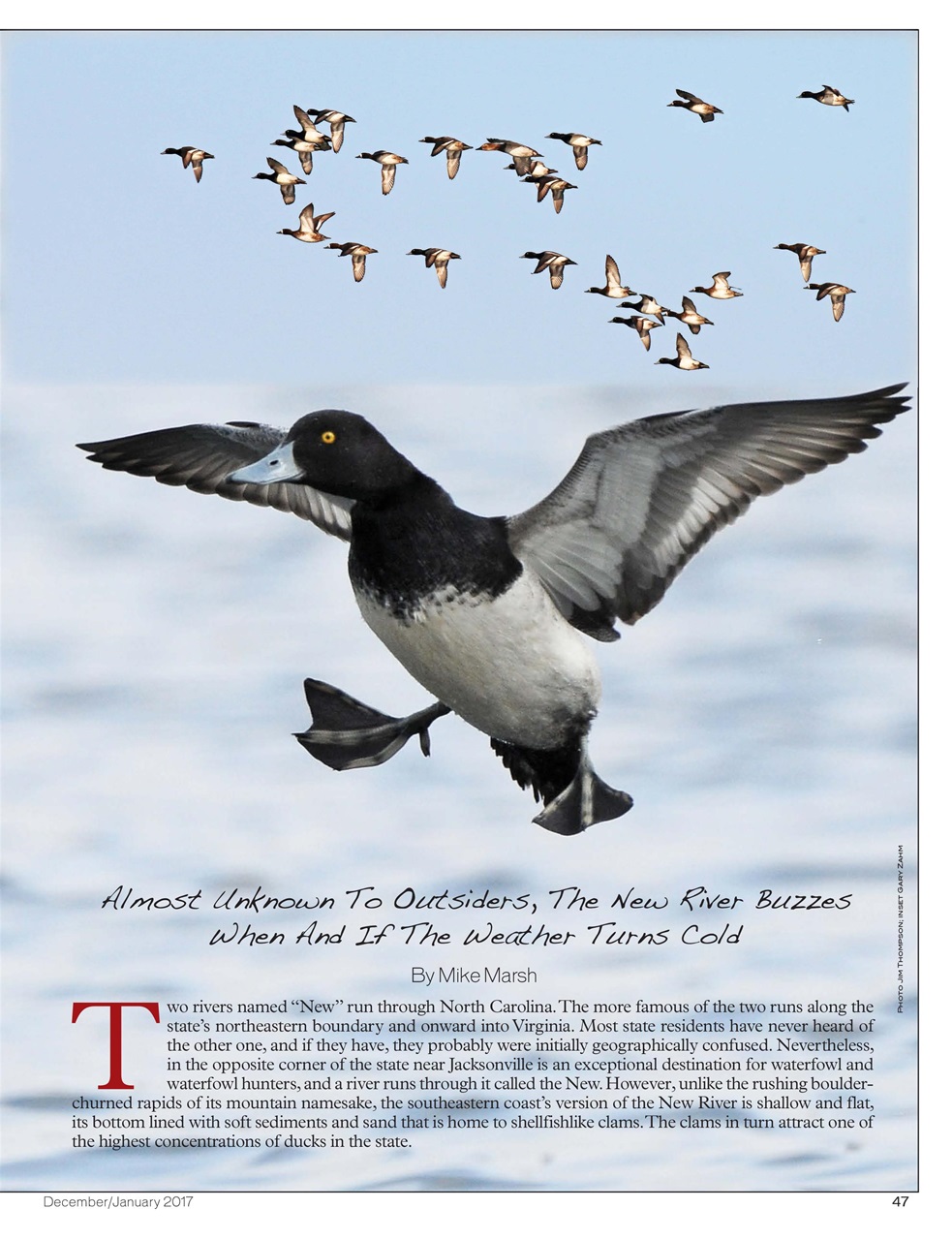 American Waterfowler Preview Pages