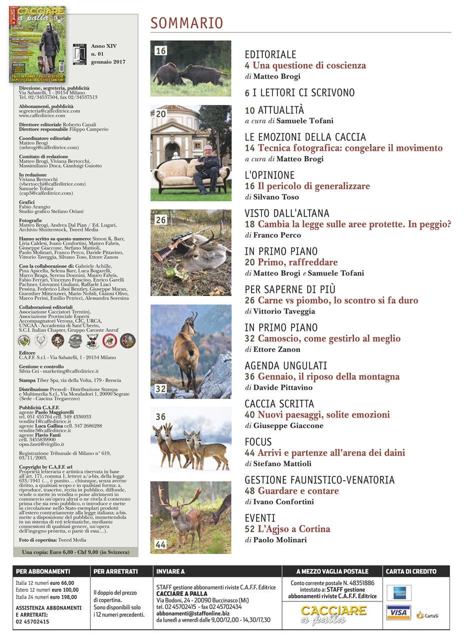 Caccia Magazine Preview Pages