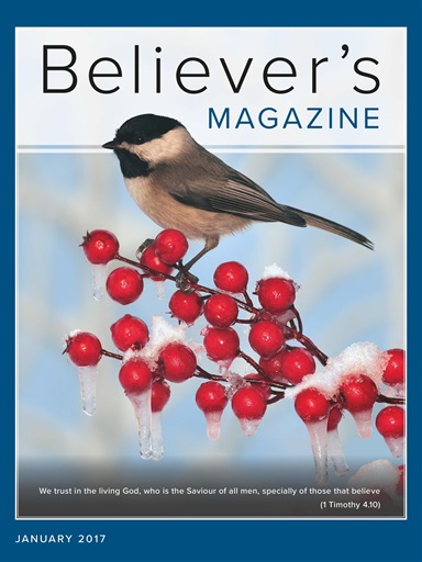 Believer Magazine issue 
