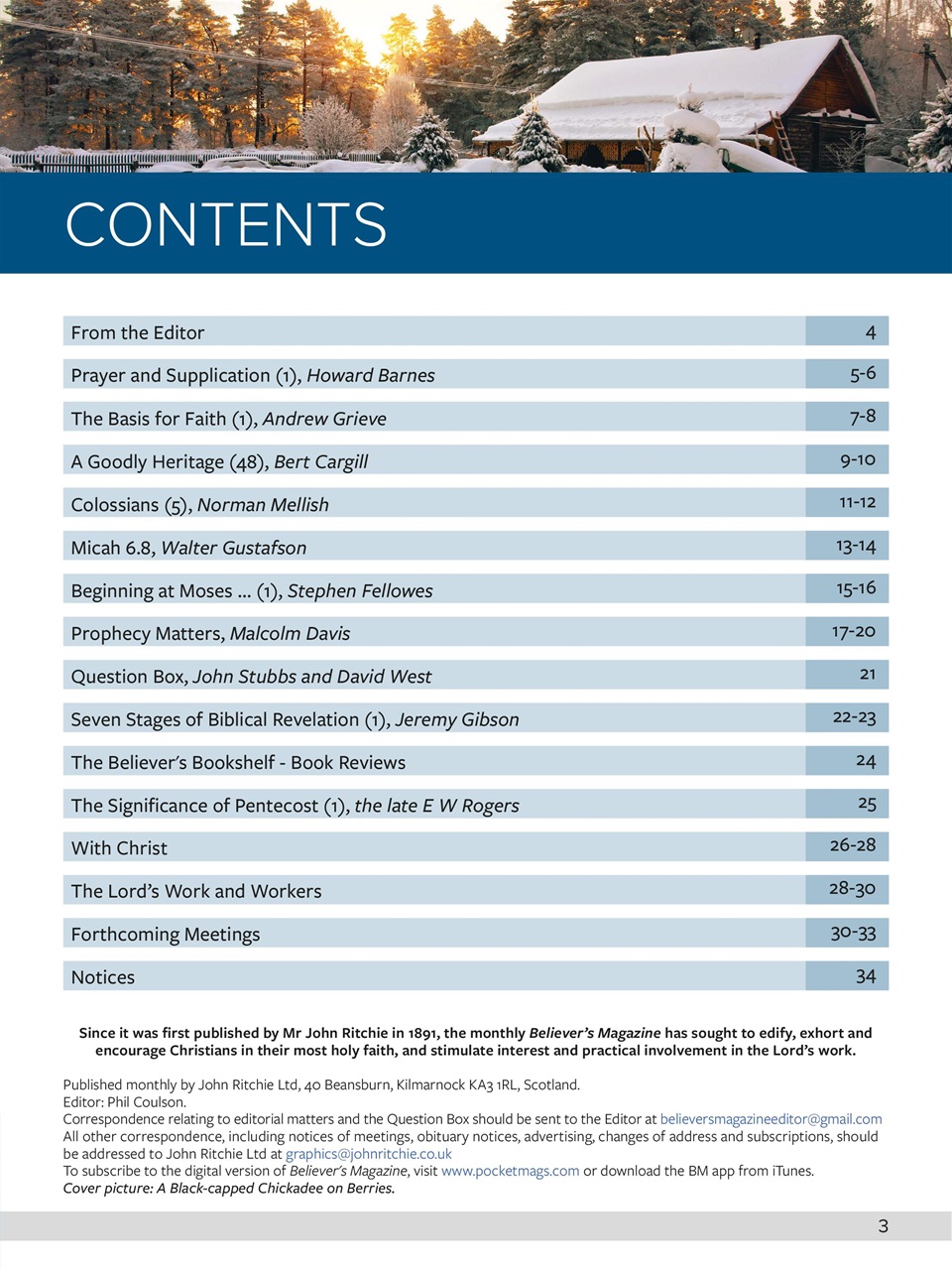 Believer Magazine Preview Pages